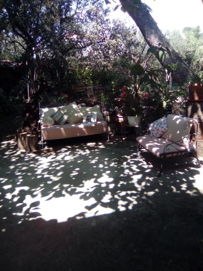 Sous Les Pins Lägenhet Villeneuve-lès-Avignon Exteriör bild